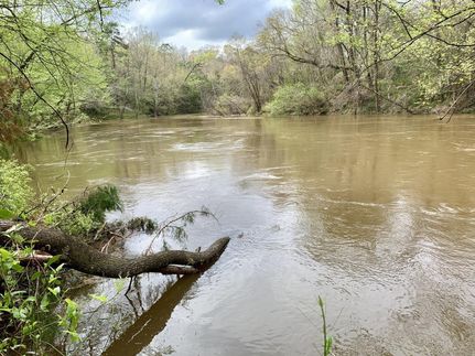 Property in Covington County, Alabama