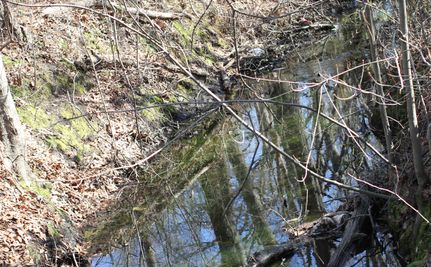 Property in Scotland County, North Carolina