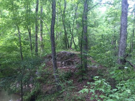 Property in Monroe County, Georgia