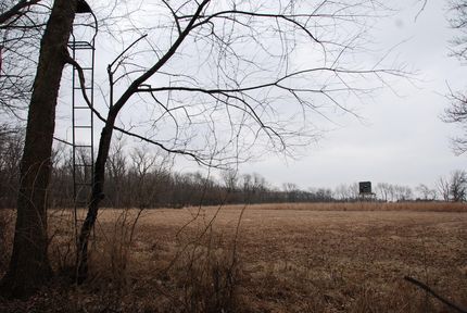 Property in Vermilion County, Illinois