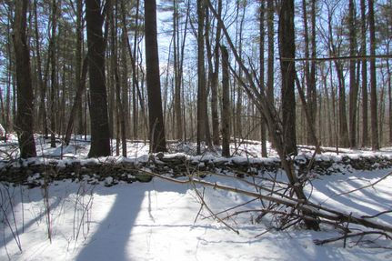 Property in Greene County, New York