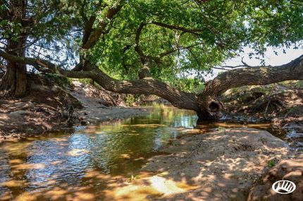 Property in Barber County, Kansas