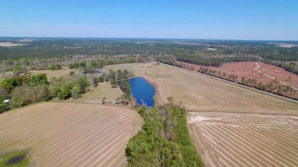 Property in Jeff Davis County, Georgia