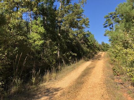 Property in Marion County, Alabama