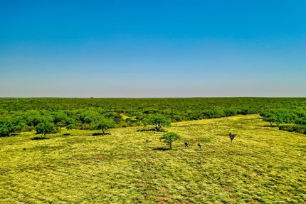 Property in Live Oak County, Texas