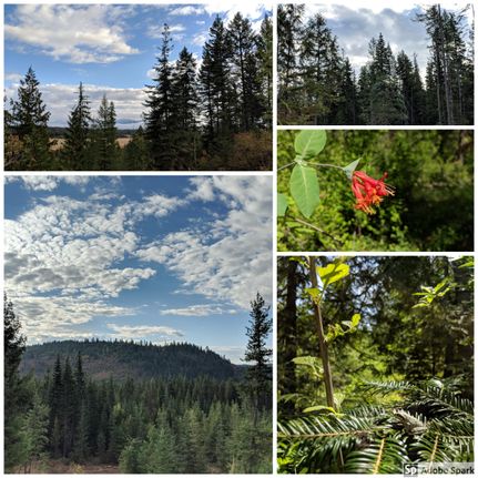 Property in Pend Oreille County, Washington