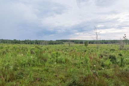 Property in Baldwin County, Alabama