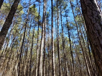 Property in Hot Spring County, Arkansas