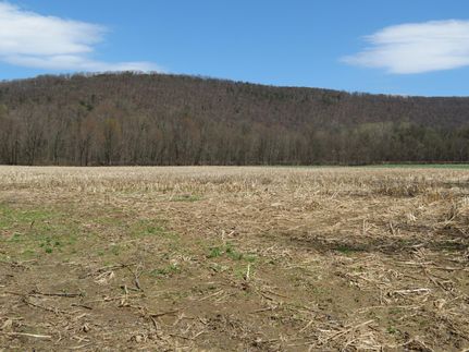 Property in Northumberland County, Pennsylvania