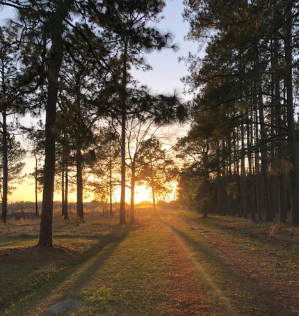 Property in Thomas County, Georgia