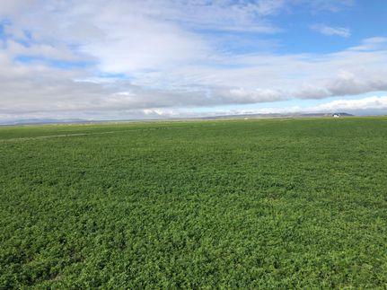 Property in Millard County, Utah