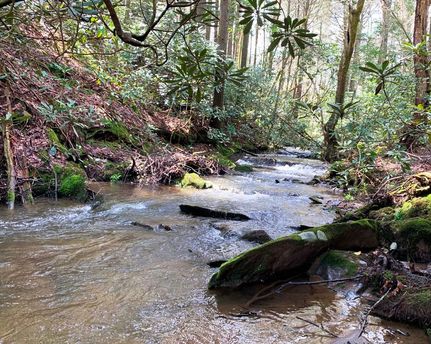 Property in Polk County, Tennessee