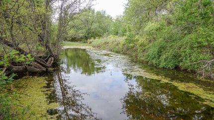 Property in Eastland County, Texas