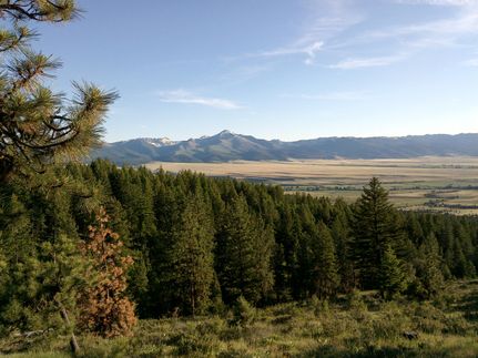 Property in Grant County, Oregon
