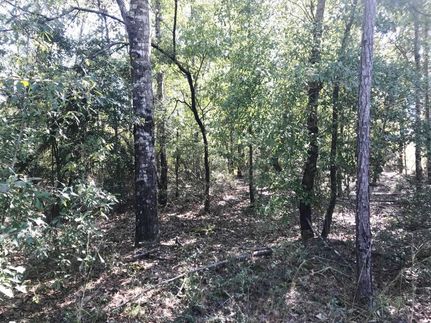 Property in Barbour County, Alabama