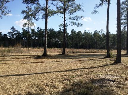 Property in Georgetown County, South Carolina