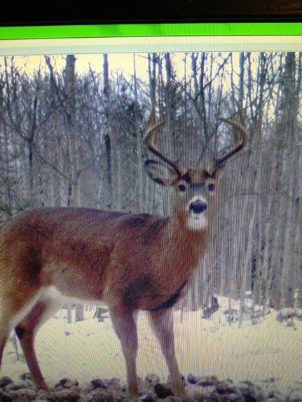 Property in Mackinac County, Michigan