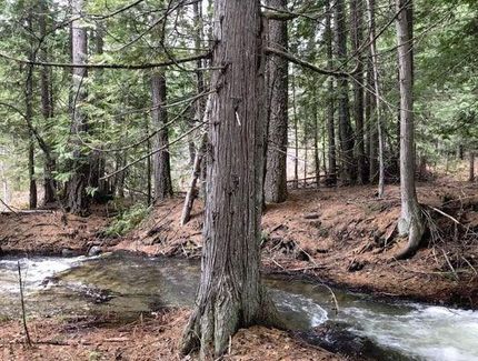 Property in Pend Oreille County, Washington