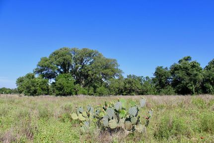 Property in Atascosa County, Texas