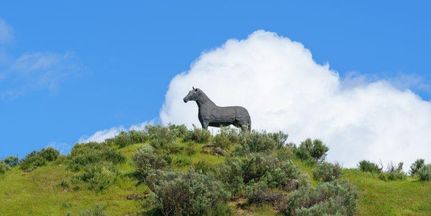 Property in San Benito County, California