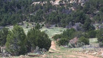 Property in Las Animas County, Colorado