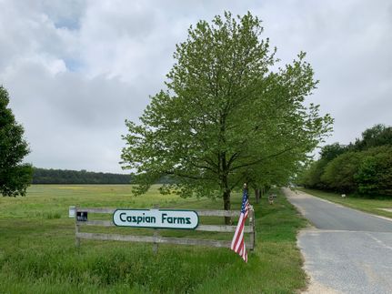 Property in Caroline County, Maryland