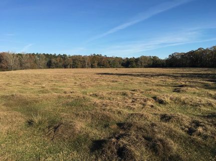 Property in Washington County, Alabama