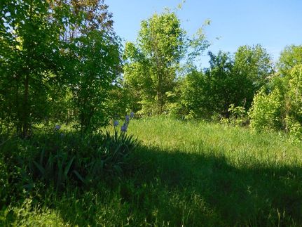 Property in Jackson County, Tennessee