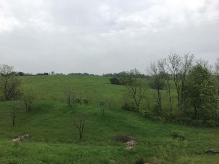 Property in Monroe County, Missouri