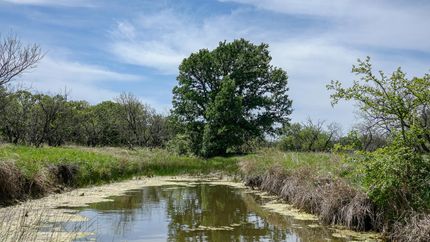 Property in Eastland County, Texas