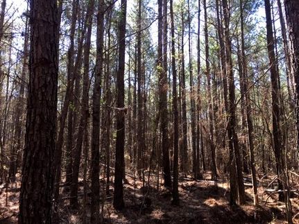 Property in Tippah County, Mississippi