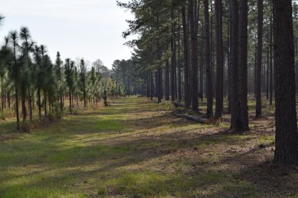 Property in Taylor County, Georgia