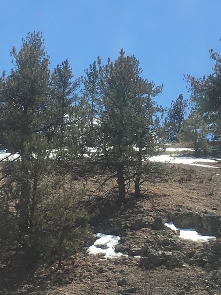 Property in Park County, Colorado