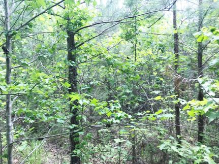 Property in Lamar County, Alabama