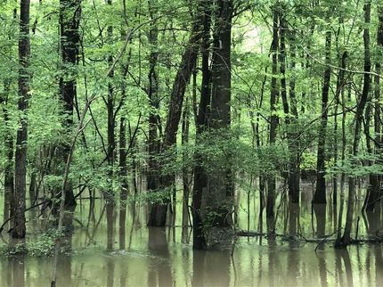 Property in Poinsett County, Arkansas