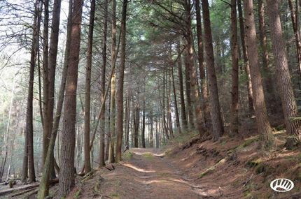 Property in Clarion County, Pennsylvania