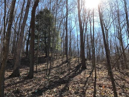 Property in Jackson County, Ohio