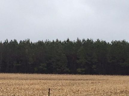 Property in Westmoreland County, Virginia