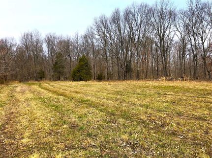 Property in Fayette County, Illinois