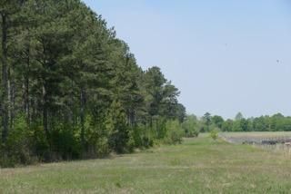 Property in Bullock County, Alabama