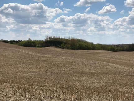 Property in Rice County, Minnesota