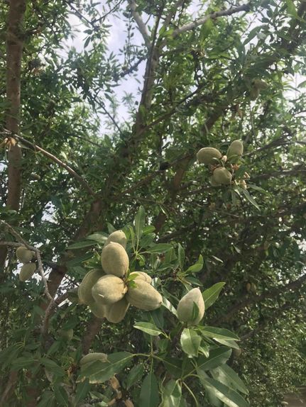 Property in Fresno County, California