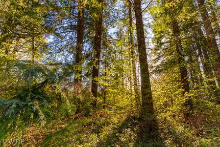 Property in Lewis County, Washington