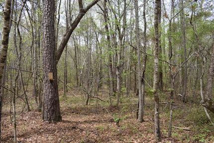 Property in Pike County, Alabama