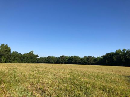 Property in Orangeburg County, South Carolina