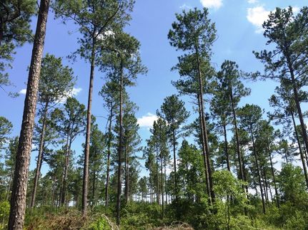 Property in Washington County, Georgia