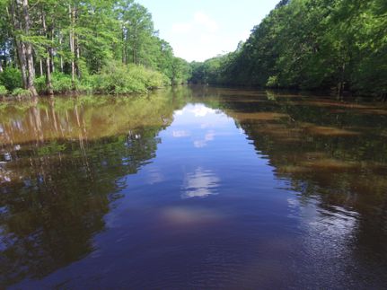 Property in Cass County, Texas