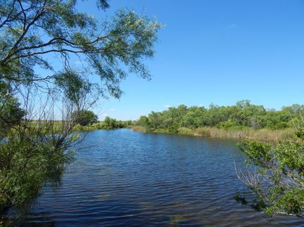 Property in Coleman County, Texas