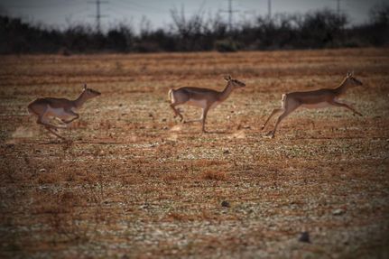 Property in Foard County, Texas