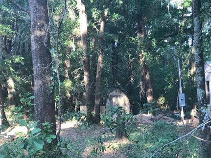 Property in Screven County, Georgia